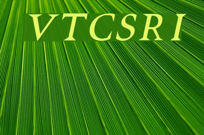 VTCSwitchbladeRomanceItalic Font examples