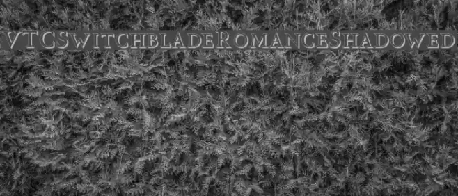 VTCSwitchbladeRomanceShadowed Font examples