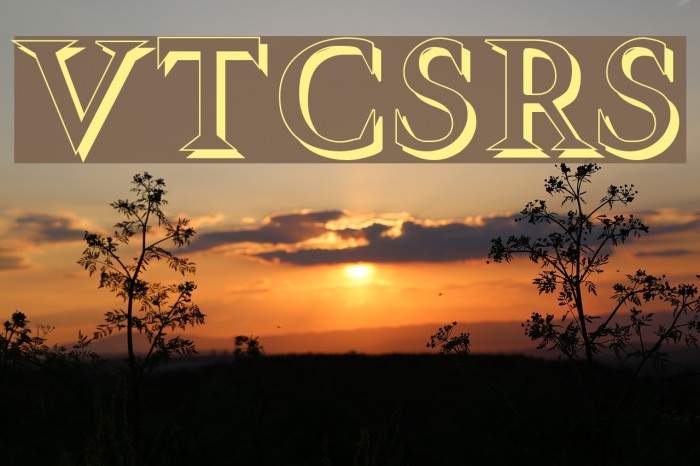 VTCSwitchbladeRomanceShadowed Font examples