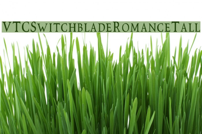 VTCSwitchbladeRomanceTall Font examples