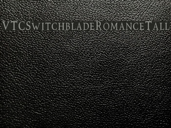 VTCSwitchbladeRomanceTall Font examples