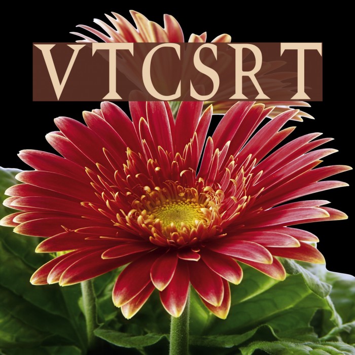 VTCSwitchbladeRomanceTall Font examples