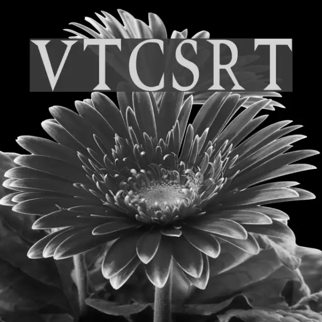 VTCSwitchbladeRomanceTall Fonte examples