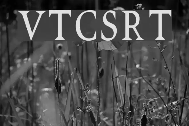 VTCSwitchbladeRomanceTall Fonte examples