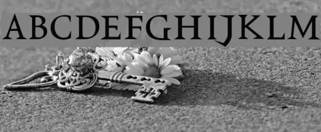 VTCSwitchbladeRomance Шрифта examples