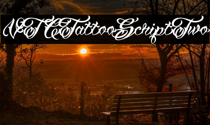 VTCTattooScriptTwo Font examples