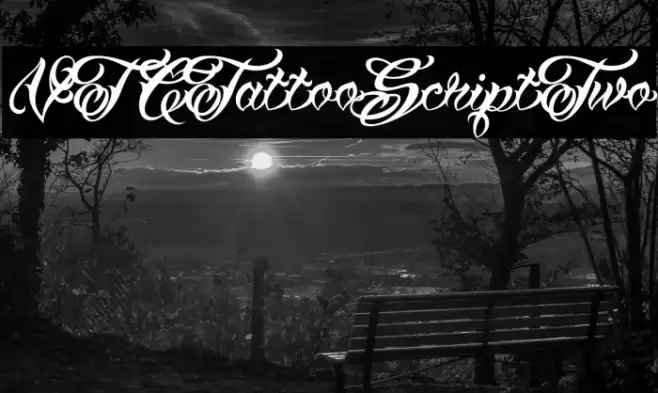 VTCTattooScriptTwo Font examples