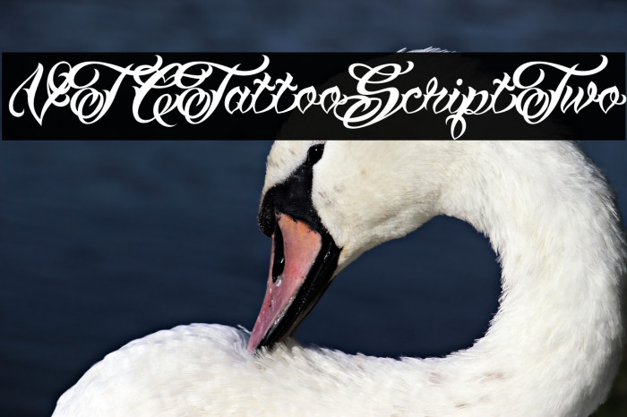 VTCTattooScriptTwo Font examples