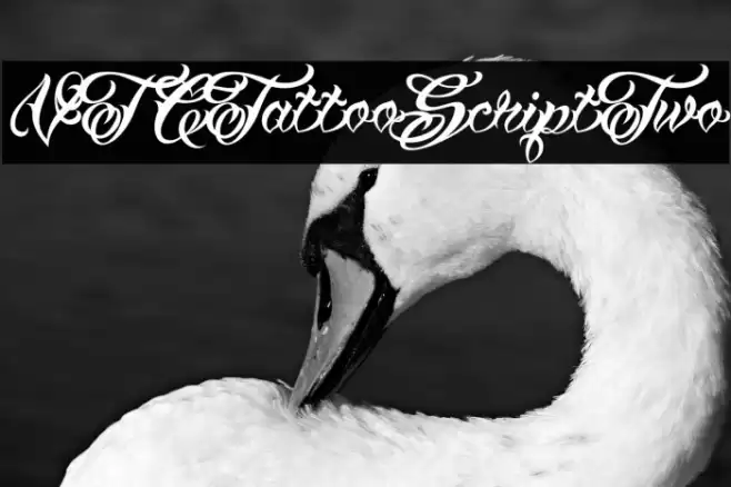 VTCTattooScriptTwo Font examples