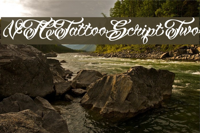 VTCTattooScriptTwo Example 3