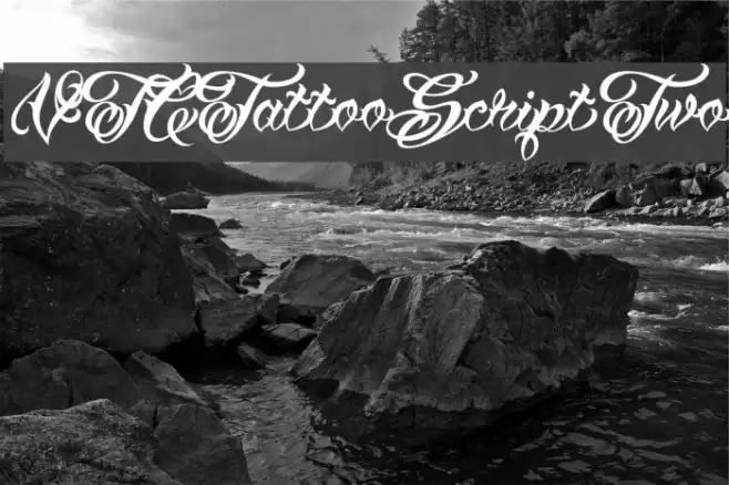 VTCTattooScriptTwo Font examples