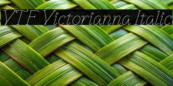 VTF Victorianna Italic Example 1
