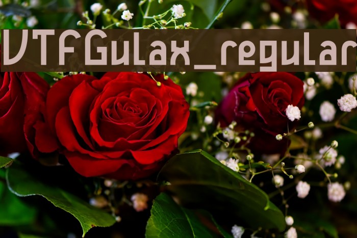 VTFGulax_regular Example 1