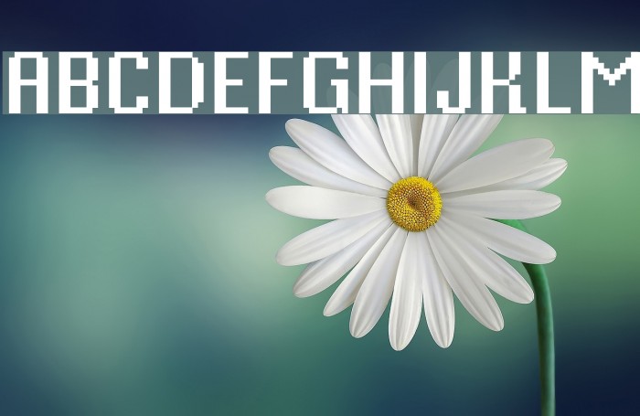 VTFMisterPixel Font examples