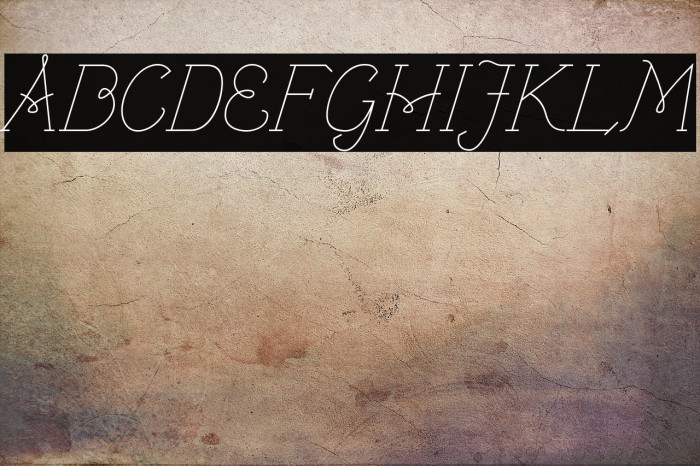 VTF_VictoriannaThin_italic Example 1