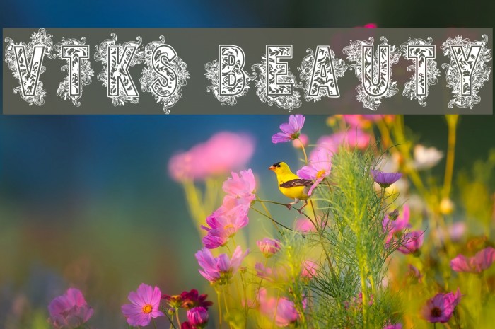 VTKS BEAUTY Schriftart examples
