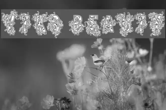 VTKS BEAUTY Font examples