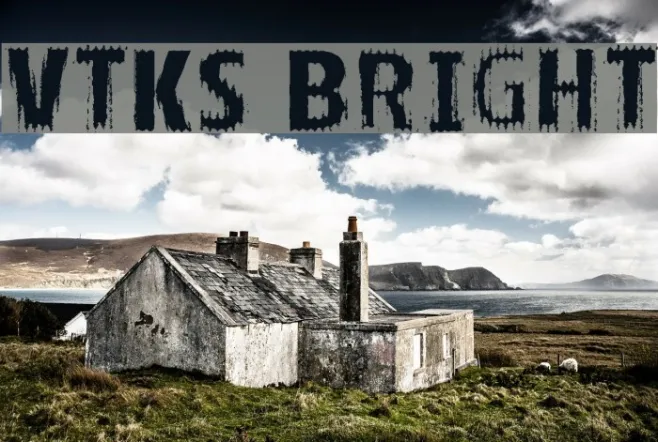 VTKS BRIGHT Example 2