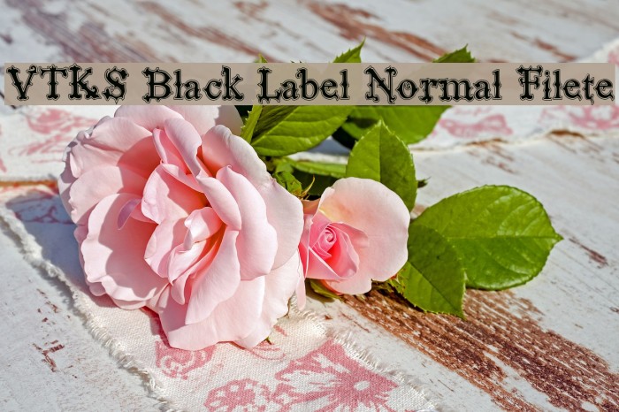 VTKS Black Label Normal Filete Font examples