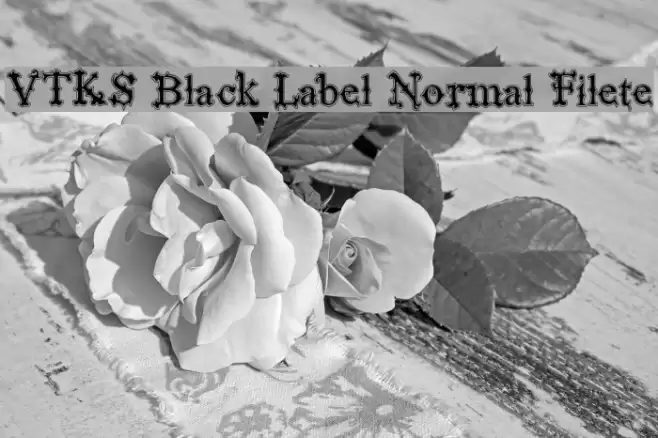 VTKS Black Label Normal Filete Schriftart examples