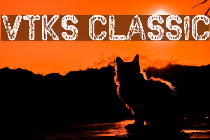 VTKS CLASSIC Example 1