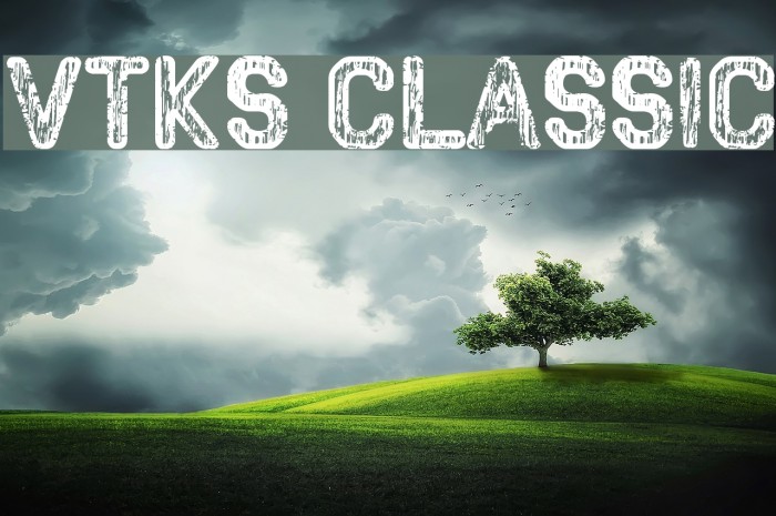 VTKS CLASSIC Example 2