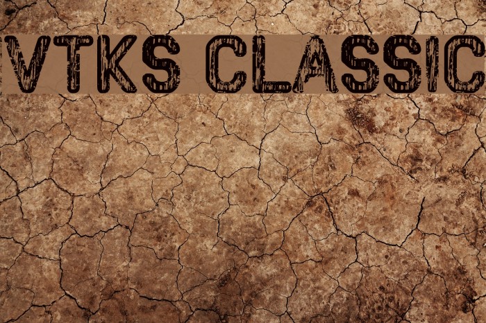 VTKS CLASSIC Example 3