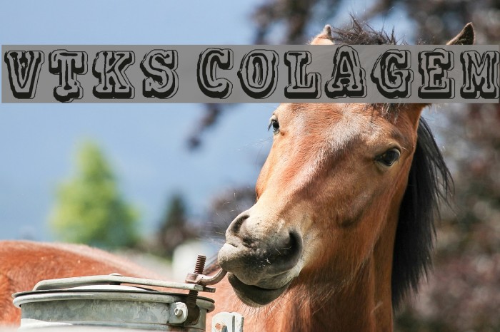 VTKS COLAGEM Font examples