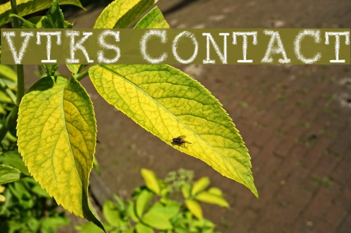 VTKS CONTACT Font examples