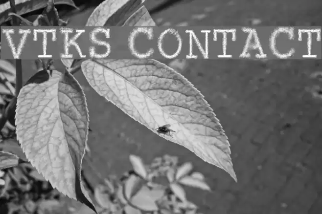 VTKS CONTACT フォント examples