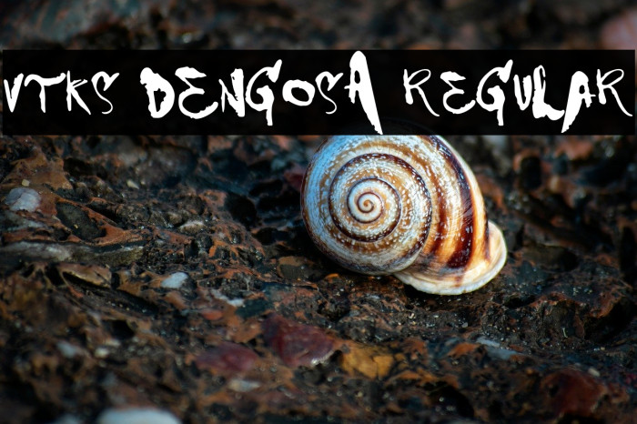 VTKS DENGOSA Regular Example 1