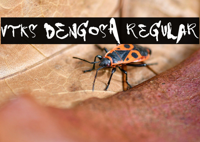 VTKS DENGOSA Regular Example 3