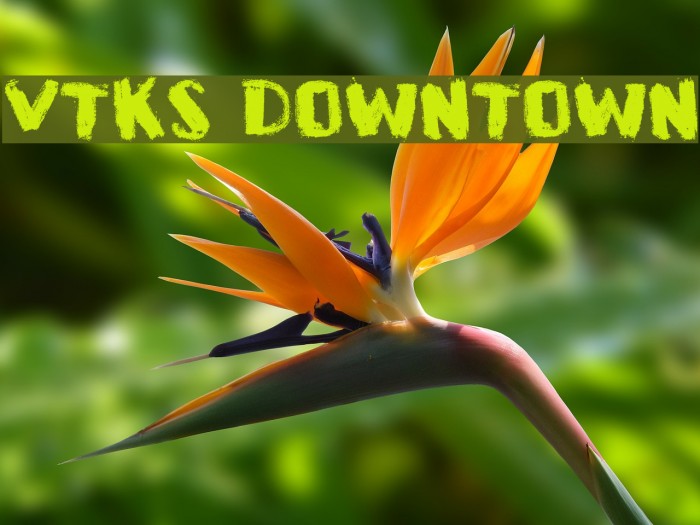 VTKS DOWNTOWN Example 3