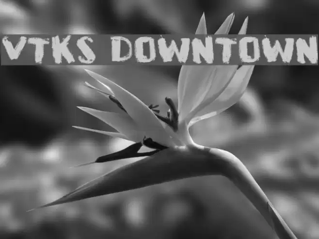 VTKS DOWNTOWN Font examples