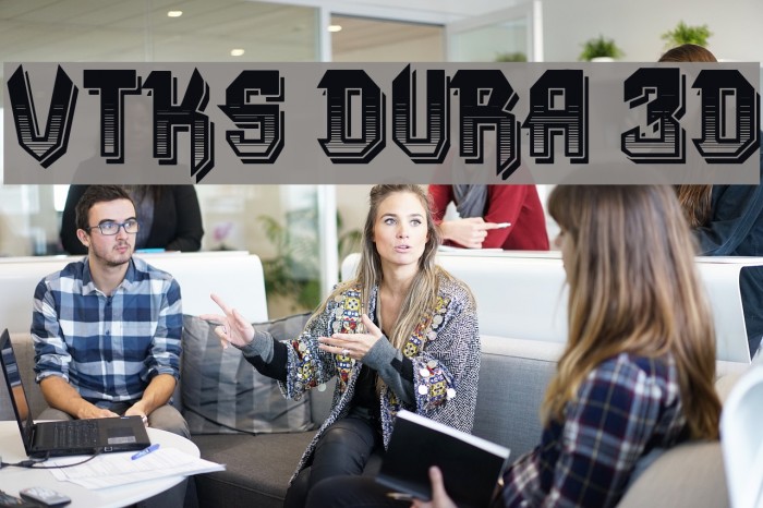 VTKS DURA 3D Example 2