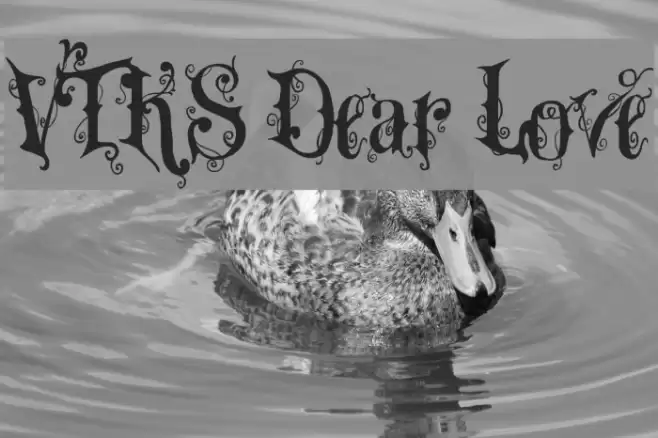 VTKS Dear Love Polices examples
