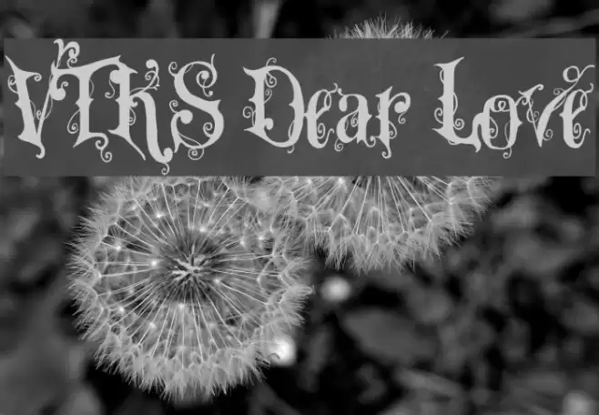 VTKS Dear Love Polices examples
