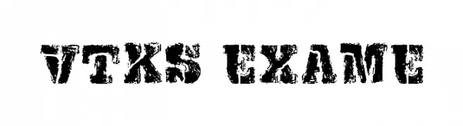 VTKS EXAME  免费字体下载