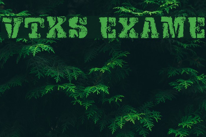 VTKS EXAME Font examples