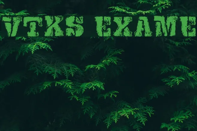VTKS EXAME Example 1