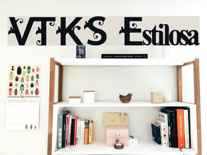 VTKS Estilosa Fuentes examples