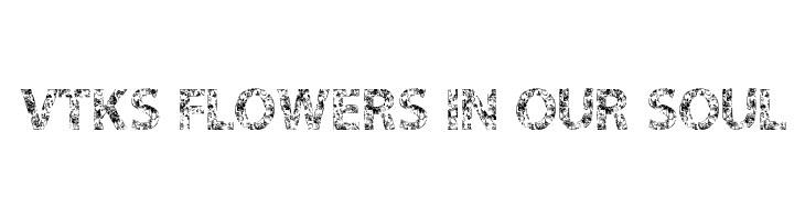 VTKS FLOWERS IN OUR SOUL Font