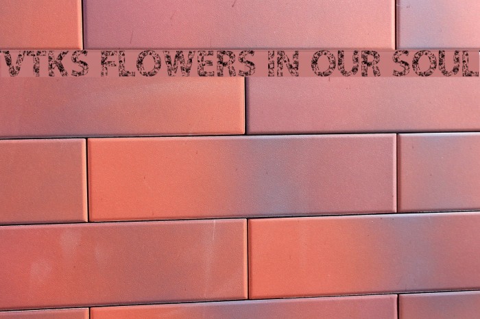VTKS FLOWERS IN OUR SOUL Font examples