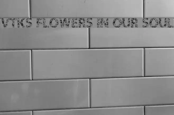 VTKS FLOWERS IN OUR SOUL Fonte examples