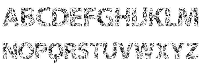 VTKS FLOWERS IN OUR SOUL Font LOWERCASE