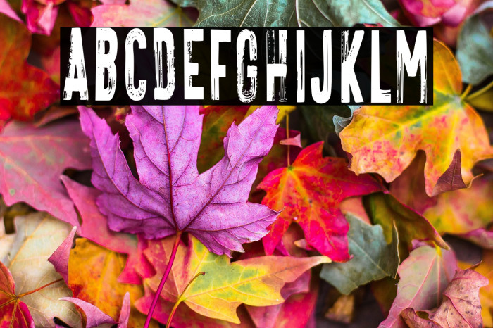 VTKS FREAKIN Regular Example 1