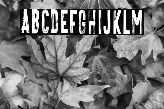 VTKS FREAKIN Regular Font examples