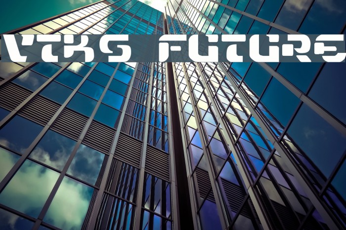 VTKS FUTURE Example 3