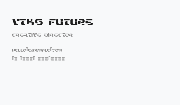 VTKS FUTURE Business Card