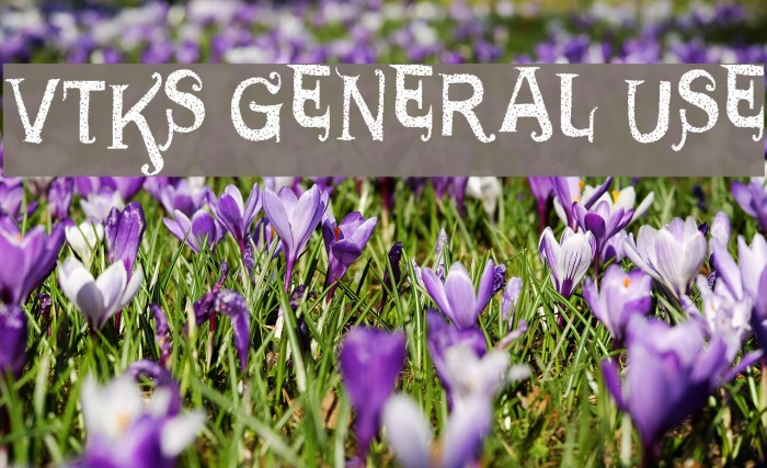 VTKS GENERAL USE Font examples